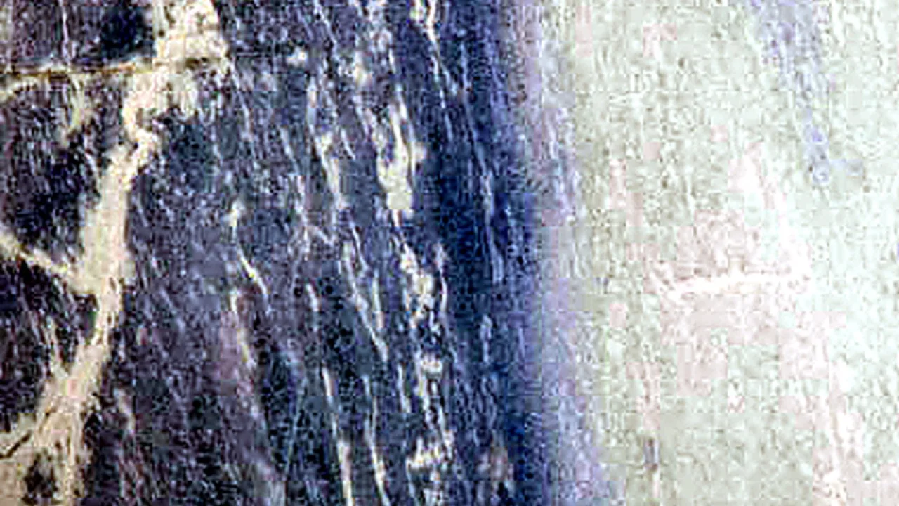 Blue Sky natural stone veneer swatch