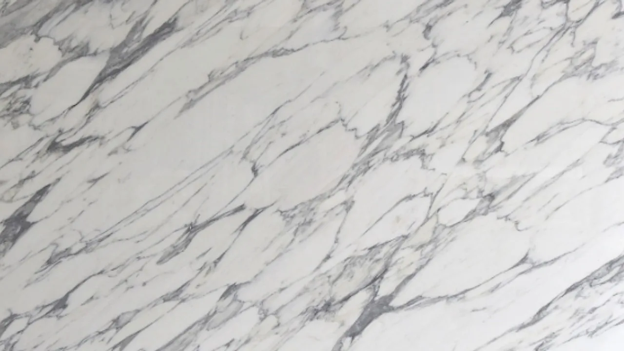 Calacatta Statuario natural stone veneer swatch