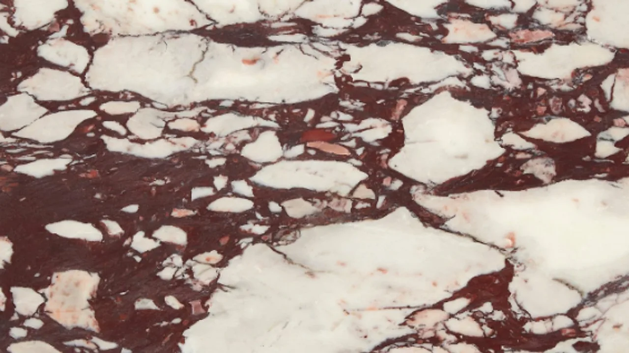 Calacatta Viola natural stone veneer swatch