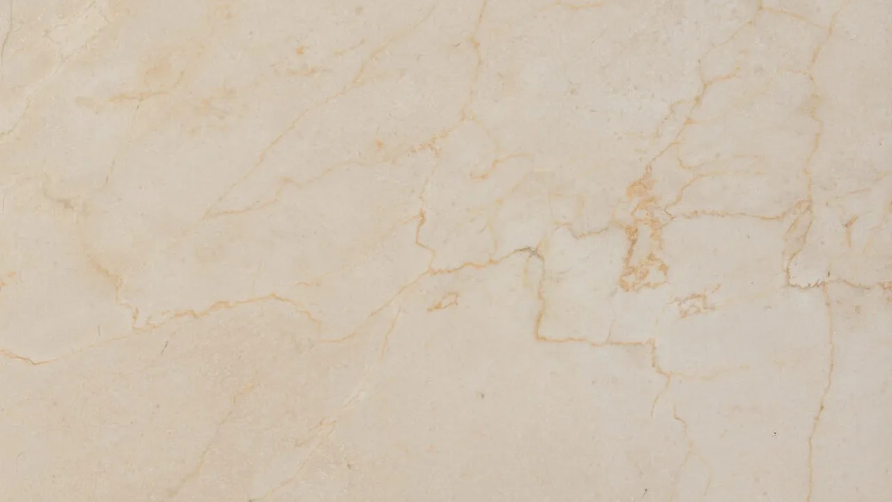 Cream Marfil/Honed natural stone veneer swatch