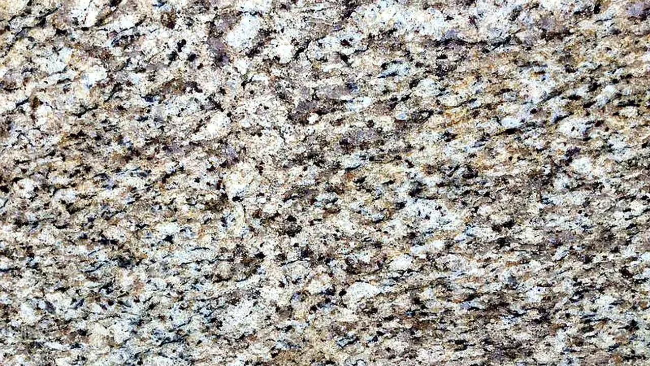 Dark Giallo Ornamental natural stone veneer swatch