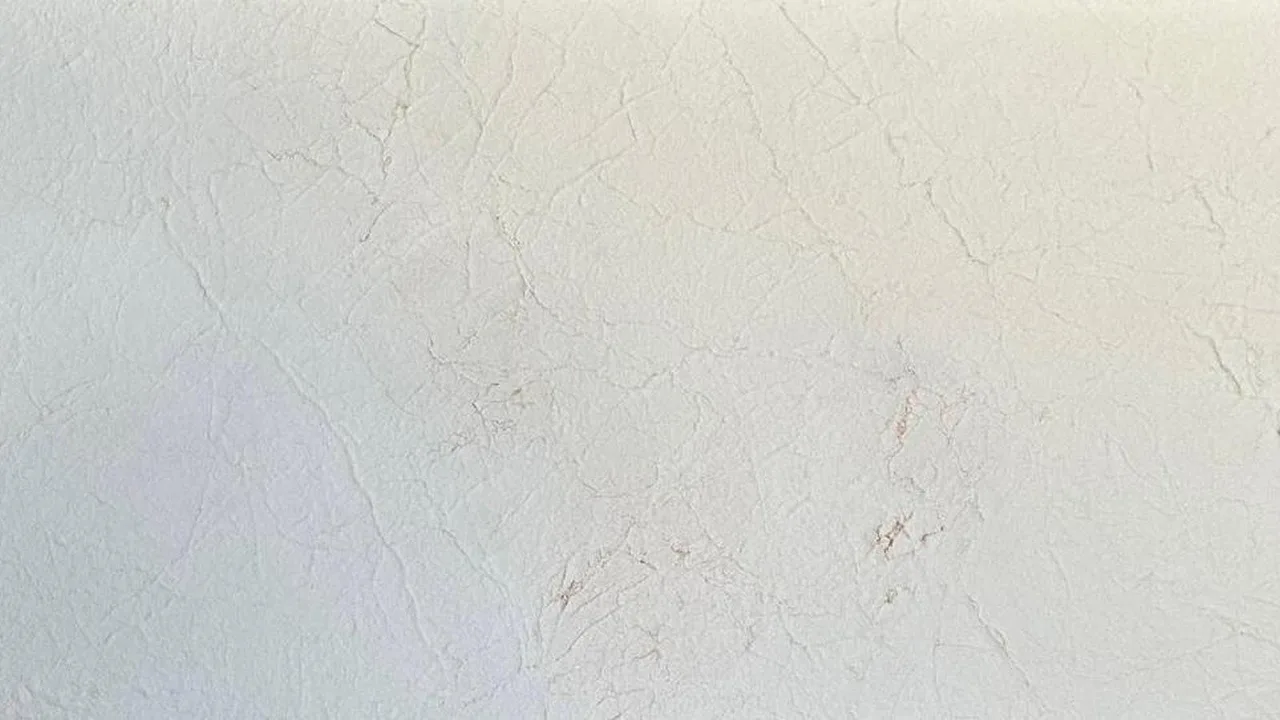 Oak White natural stone veneer swatch