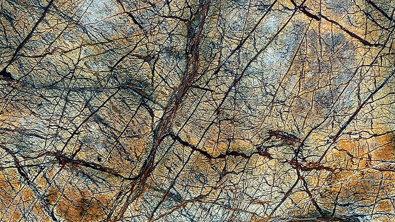 Rainforest Brown natural stone veneer swatch