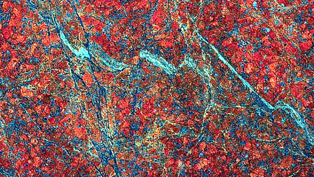 Red Dragon natural stone veneer swatch