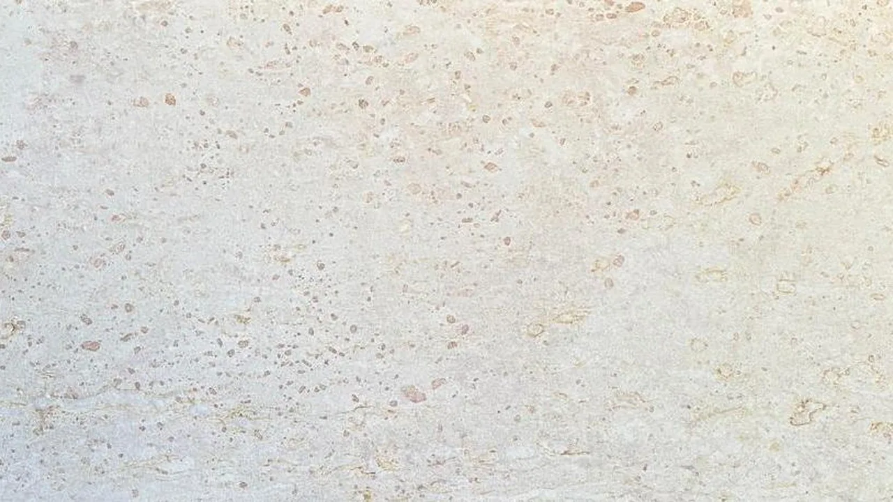 Turkish White natural stone veneer swatch