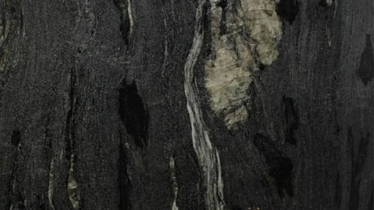Universe Black natural stone veneer swatch